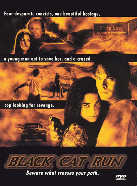 (image for) Black Cat Run
