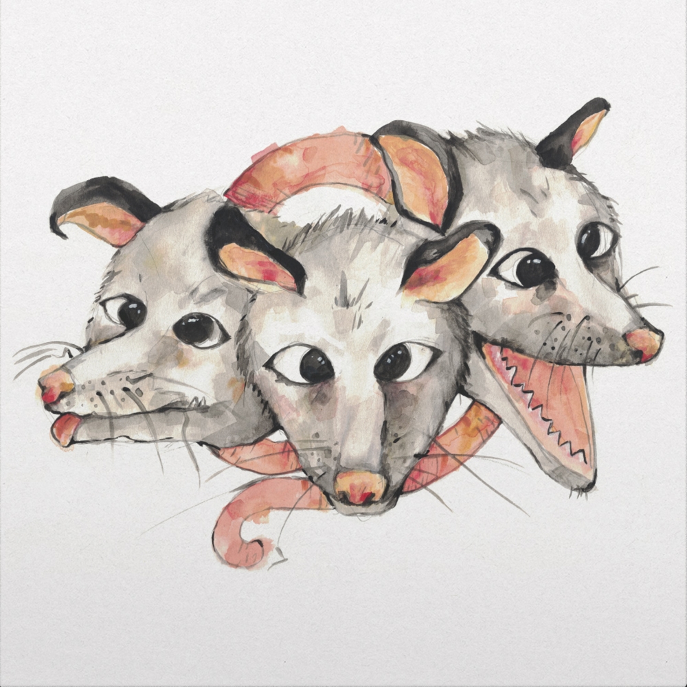 Opossums (12 Inch Vinyl) (image for) Opossums (12 Inch Vinyl)