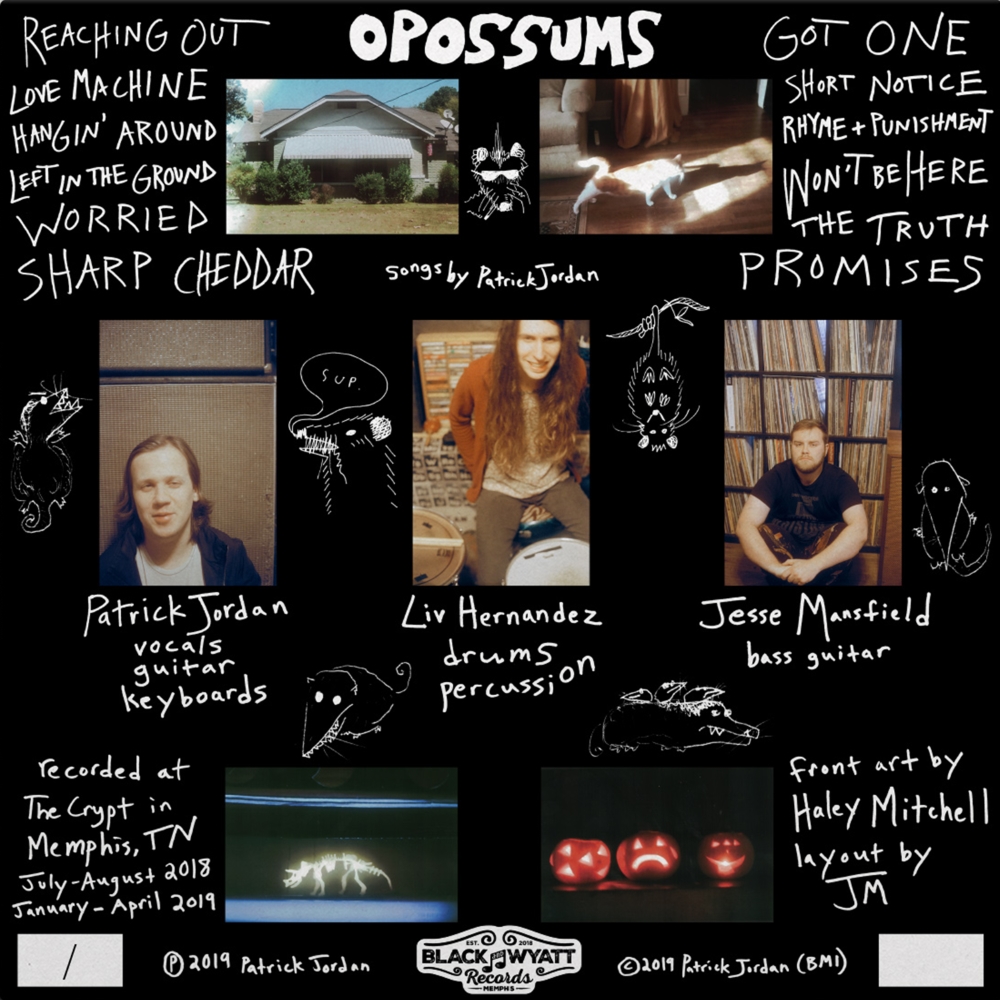 (image for) Opossums (12 Inch Vinyl)