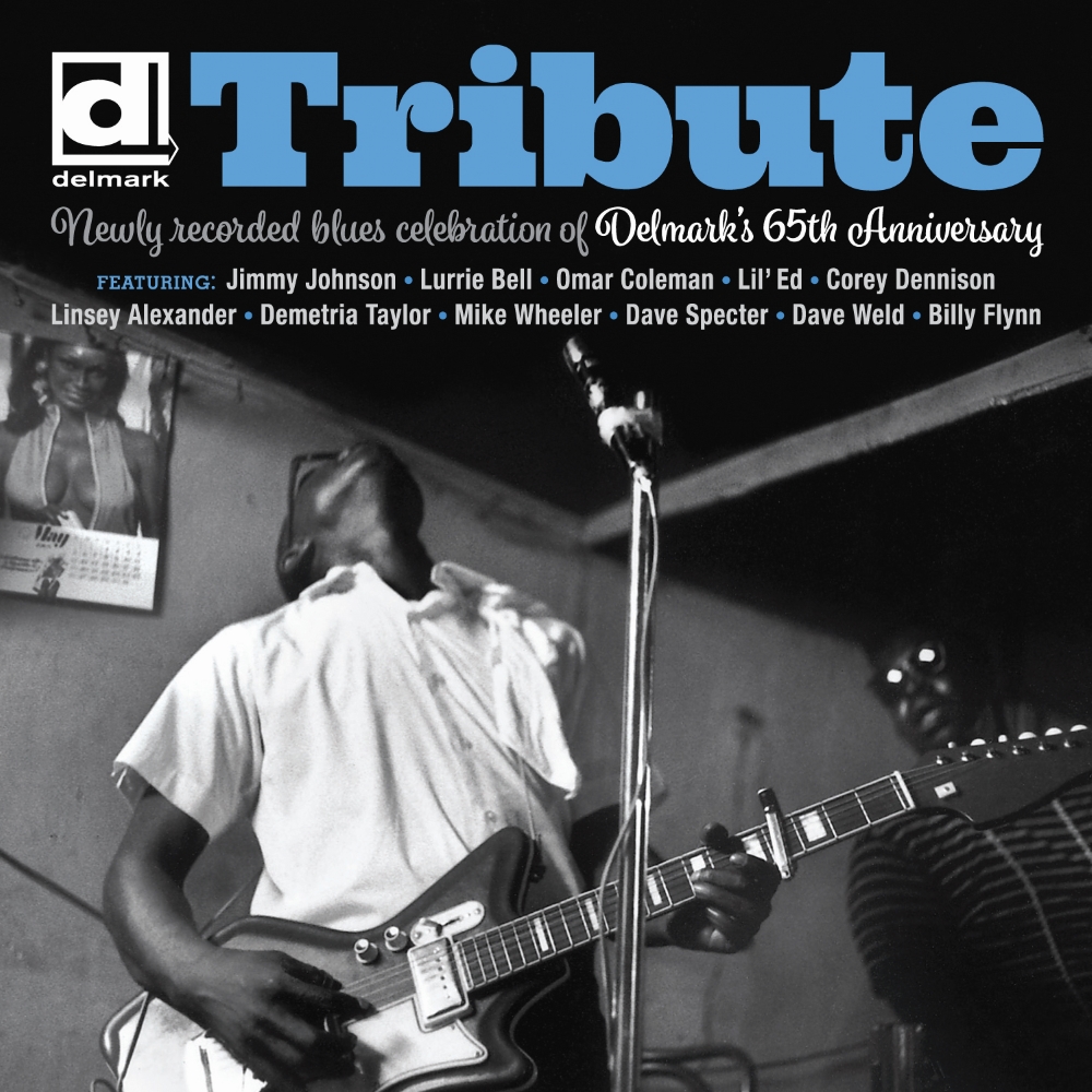 Tribute-Newly Recorded Blues Celebration of Delmark's 65th Anniversary (LP) (image for) Tribute-Newly Recorded Blues Celebration of Delmark's 65th Anniversary (LP)