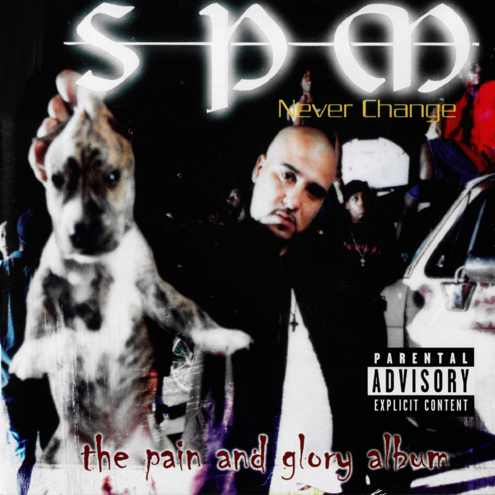 (image for) Never Change (2 LP)