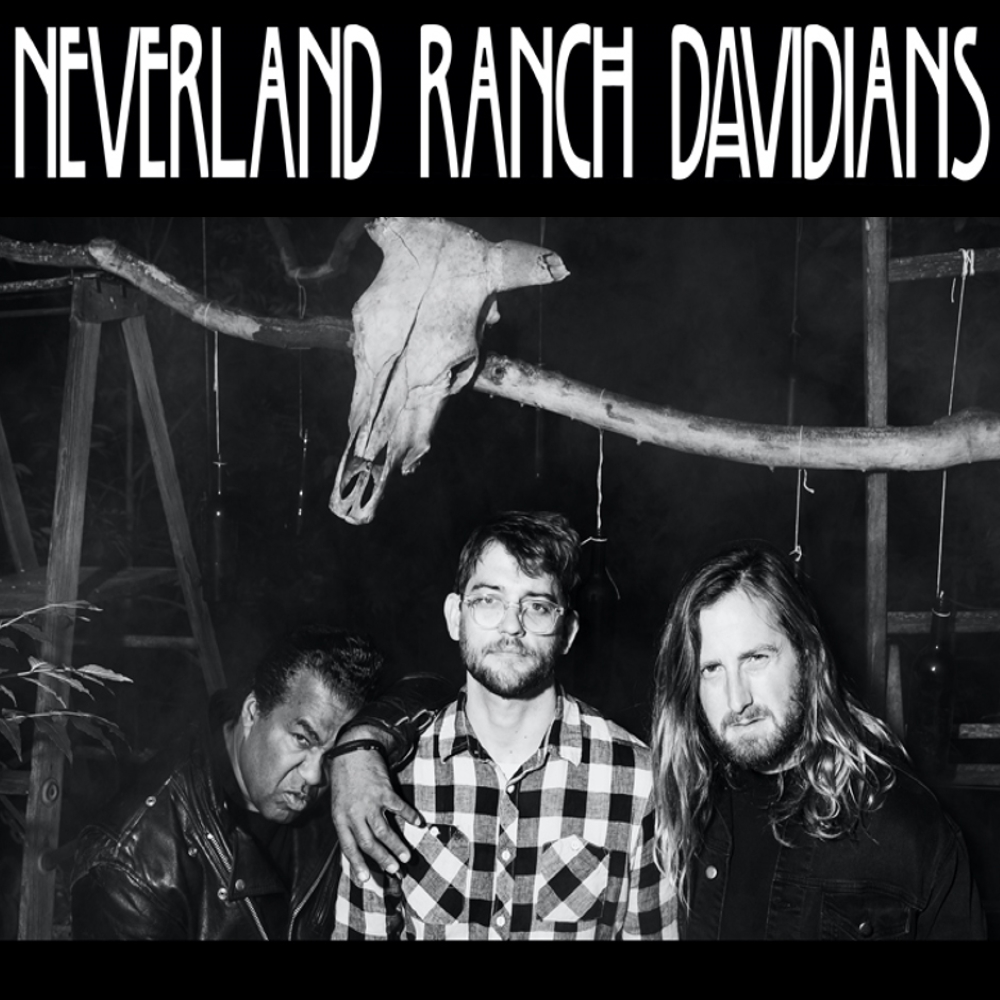 (image for) Neverland Branch Dividians (LP)