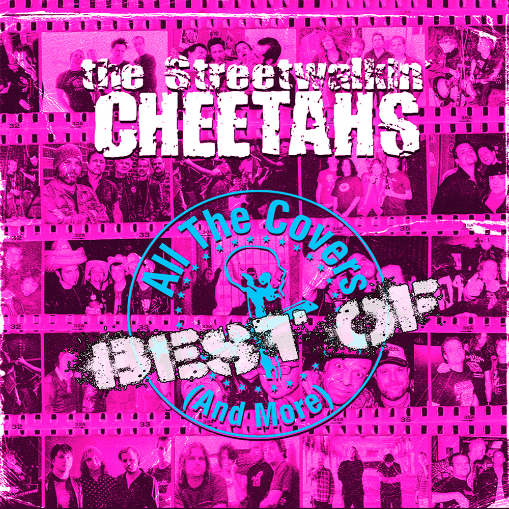 Best Of All The Covers (And More) (LP) (image for) Best Of All The Covers (And More) (LP)