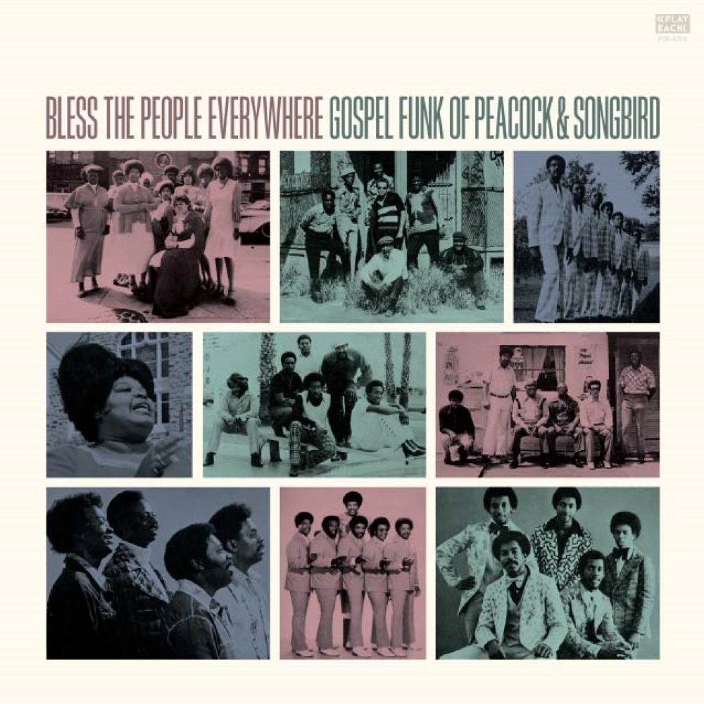 Bless The People (LP) (image for) Bless The People (LP)
