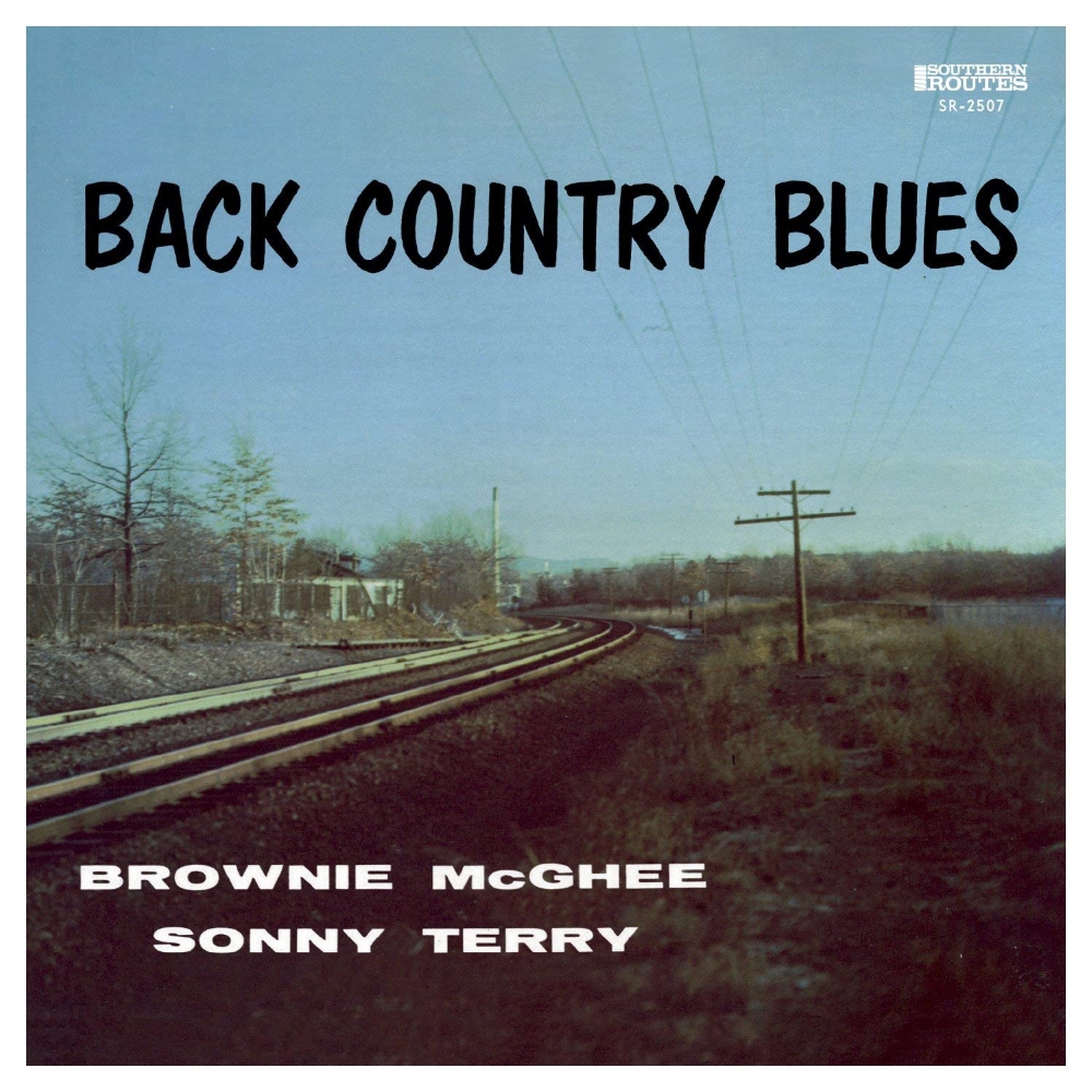 Back Country Blues-1947-55 Savoy Recordings (LP) (image for) Back Country Blues-1947-55 Savoy Recordings (LP)